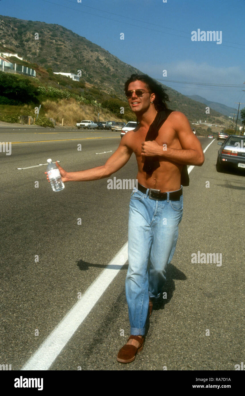 MALIBU, CA - JULY 18: (EXCLUSIVE) Singer Ricky Martin poses at a photo ...