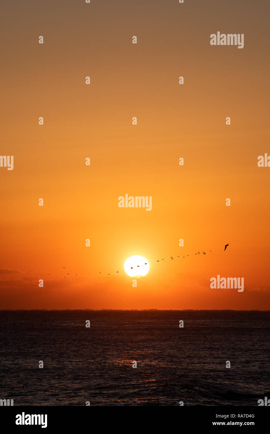 Beautiful sunrise over the ocean. South Korea at the sunrise of the East Sea sea. Stock Photo