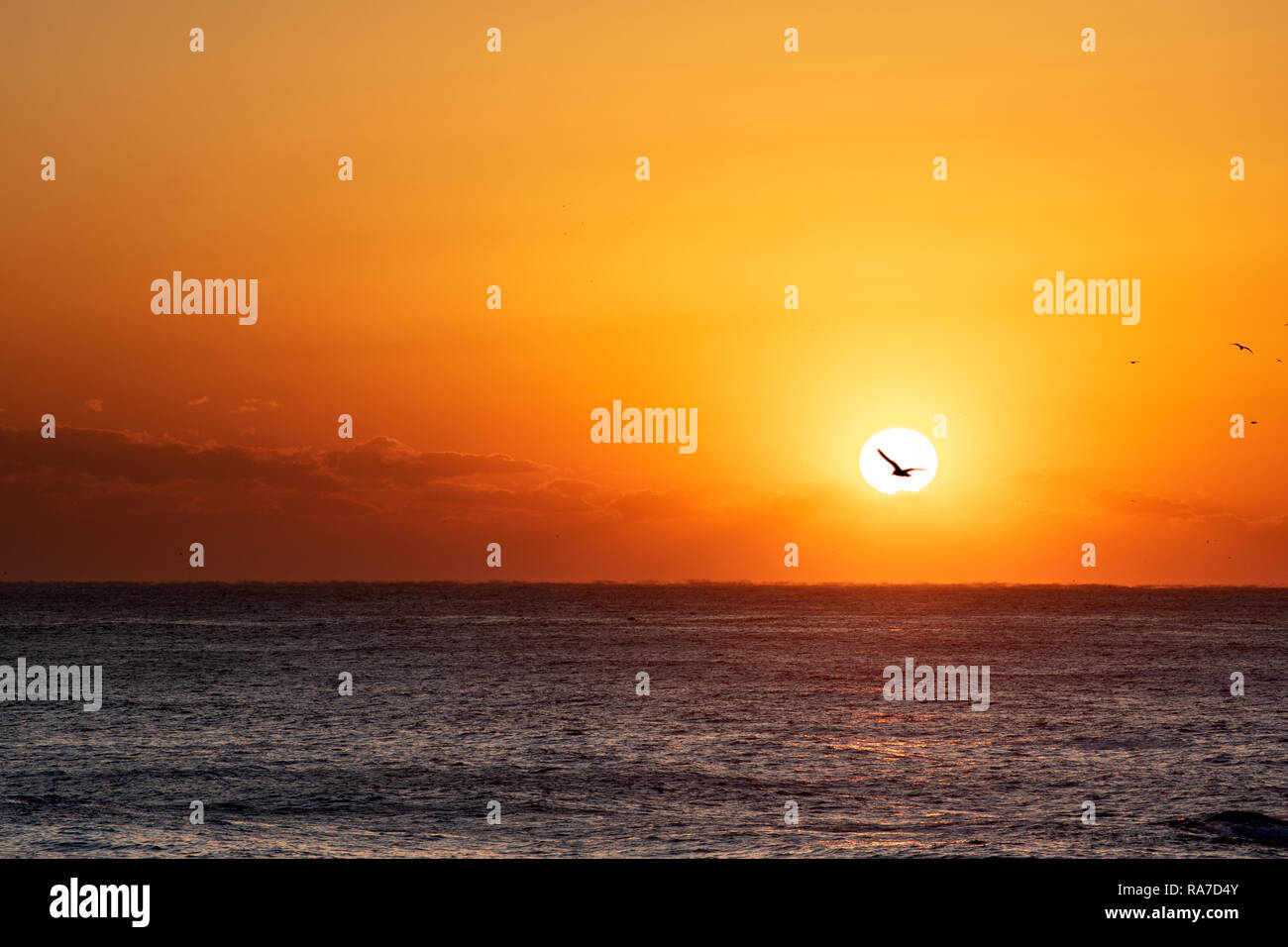 Beautiful sunrise over the ocean. South Korea at the sunrise of the East Sea sea. Stock Photo