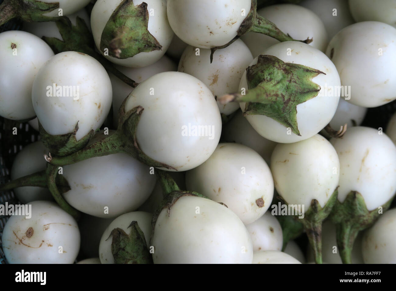 White eggplants for sale, Co Giang Market, Ho Chi Minh City, Vietnam Stock Photo