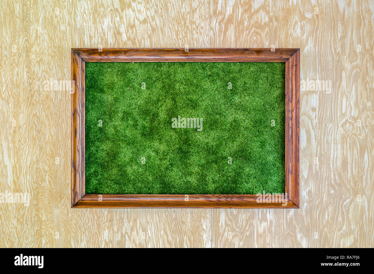 Green carpet framed on wood panelled wall Stock Photo