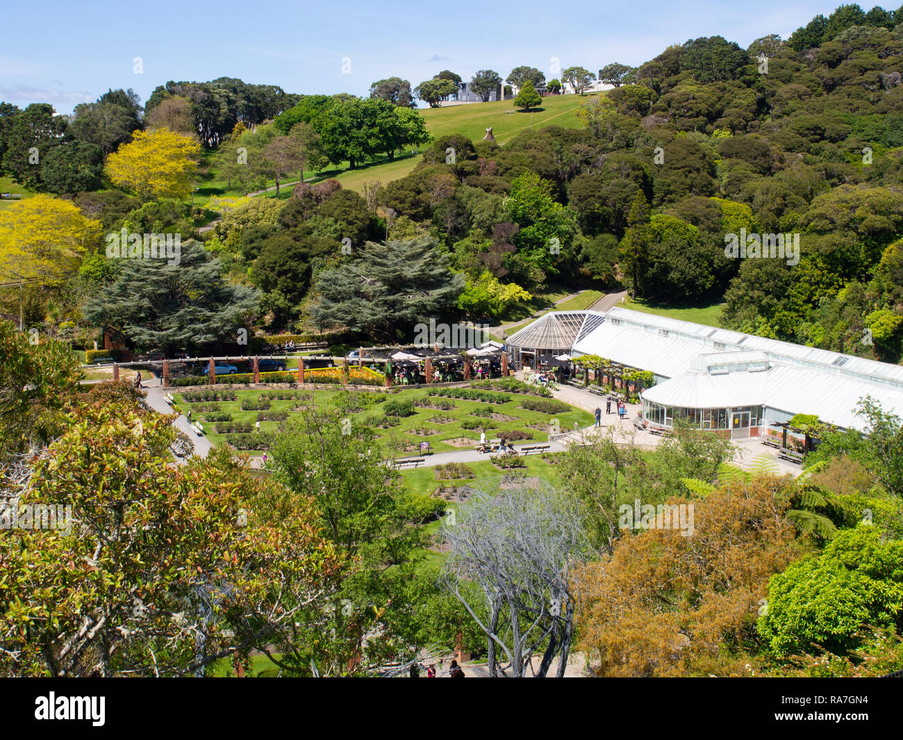 Elevated View Of The Lady Norwood Rose Garden At The Wellington Botanic Gardens Stock Photo
