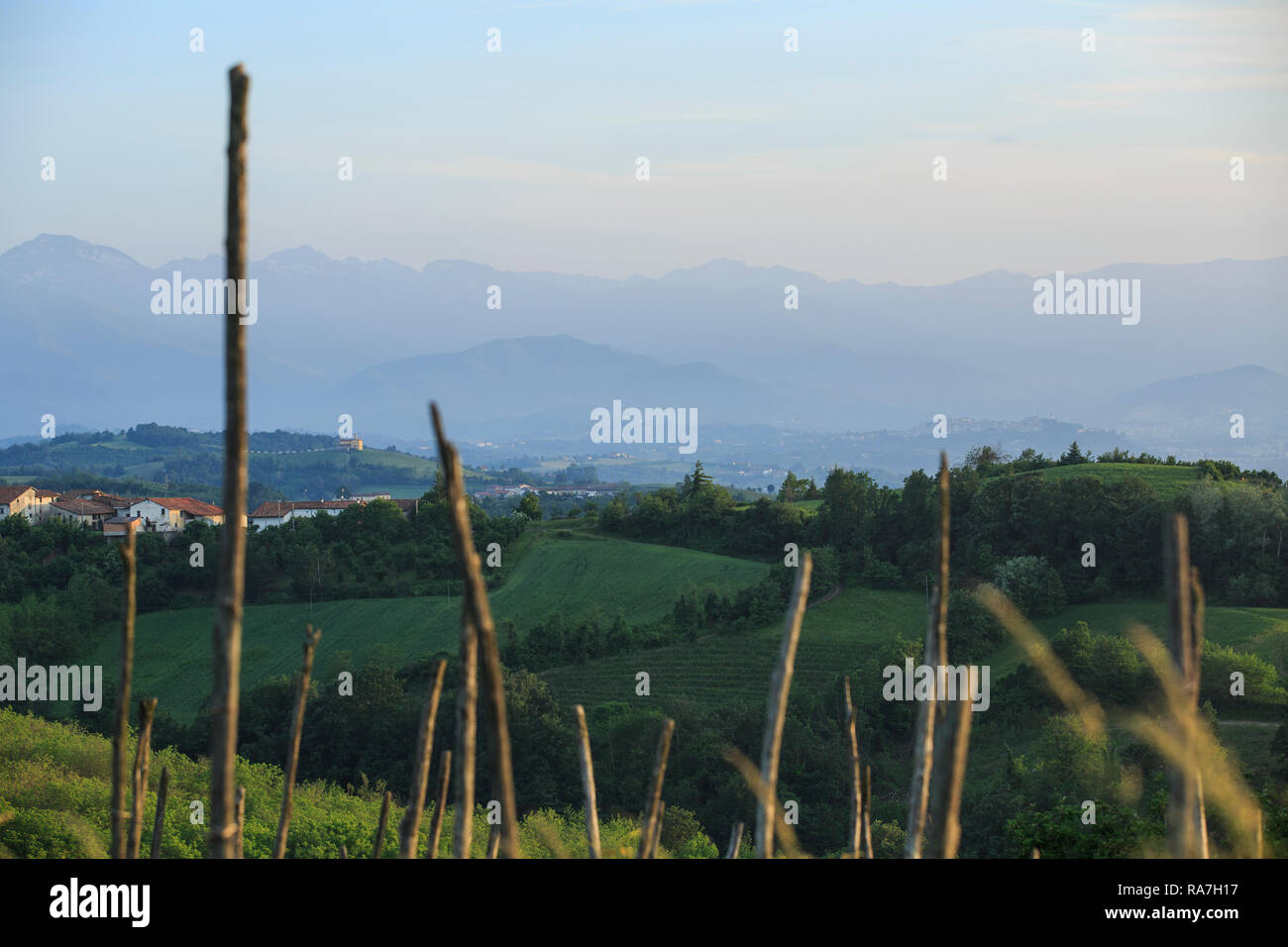 the landscape of vineyards in the Piedmont region of Northern Italy, near Barolo Stock Photo
