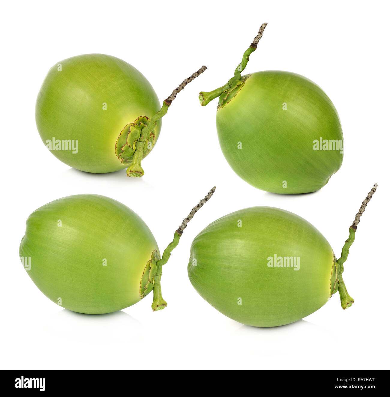 Green coconut Fruit Stock Photo Alamy