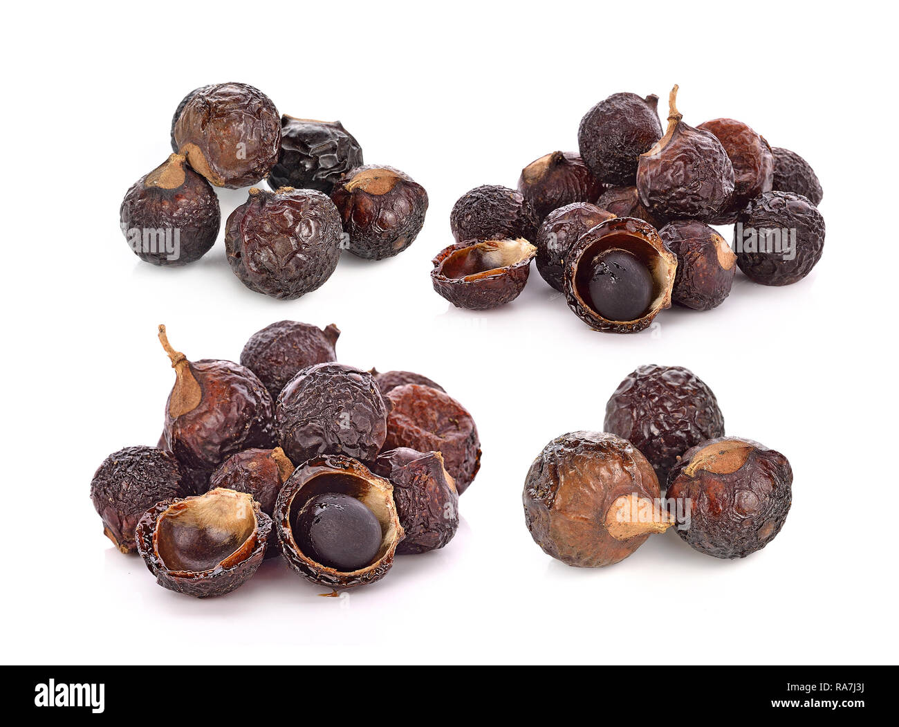 Soap nut tree isolated on white background Stock Photo Alamy