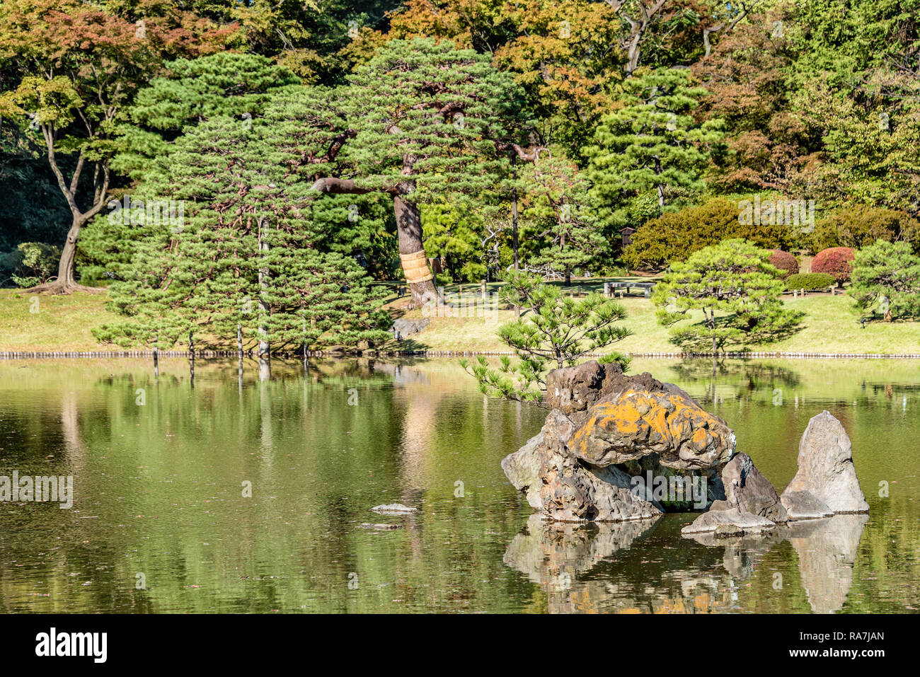 Rock Formations inside the Daisensui Pond at Rikugien Gardens, Tokyo, Japan Stock Photo