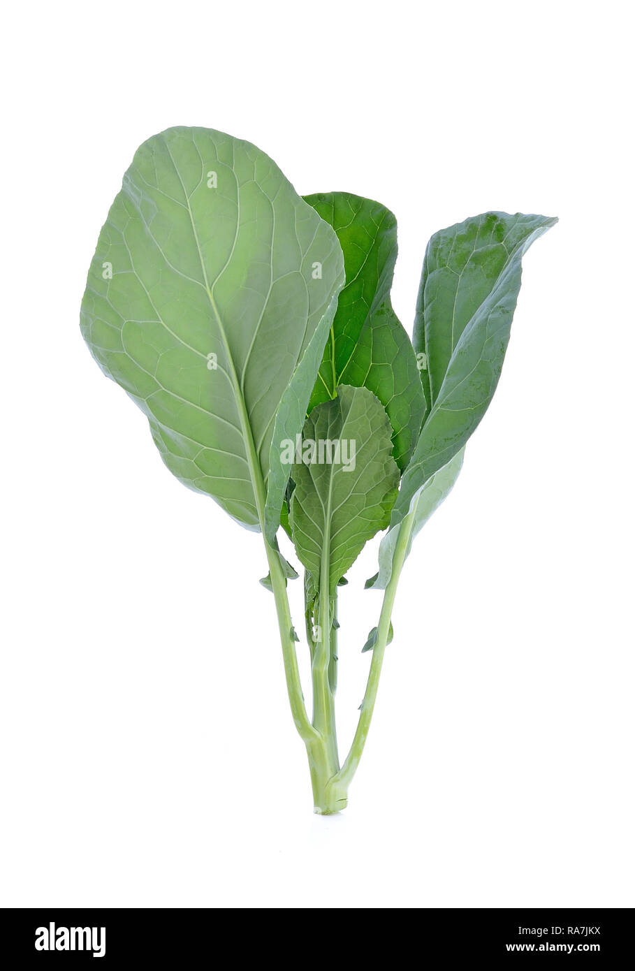 Chinese Broccoli Isolated on white background Stock Photo