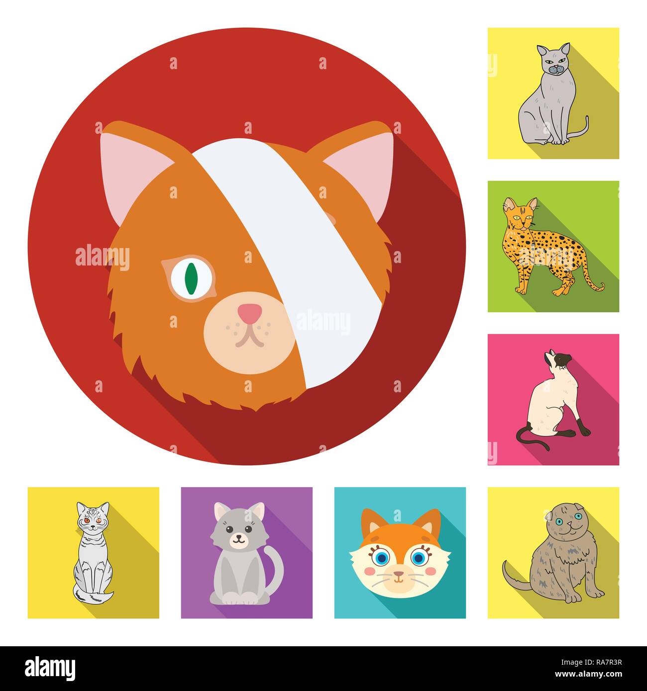 cat cute pet animal kitten funny icons set vector