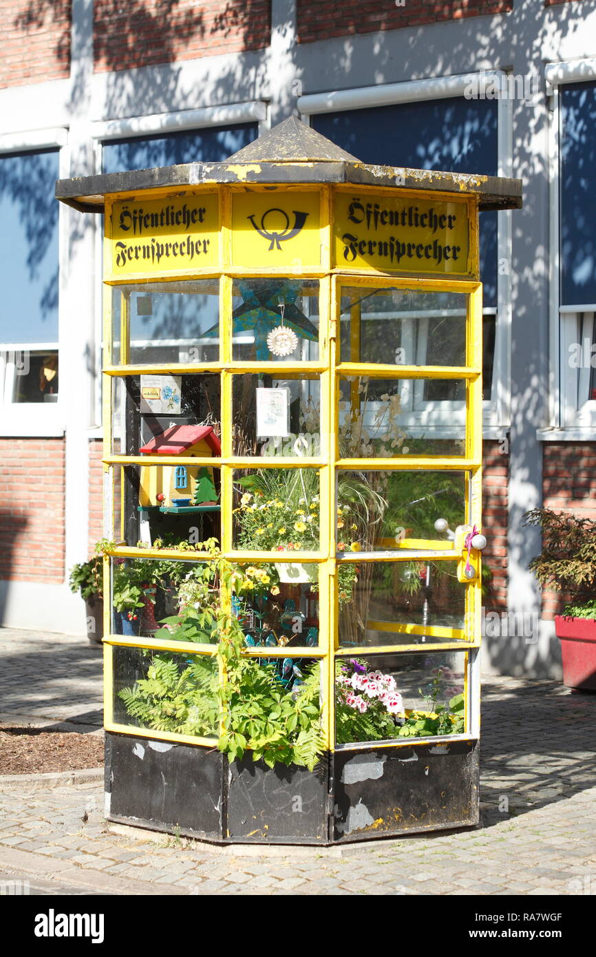 Old yellow telephone box as a greenhouse in Bremer Schnoorviertel, Bremen, Germany, Europe I Alte Gelbe Telefonzelle als Gewächshaus im Bremer Schnoor Stock Photo
