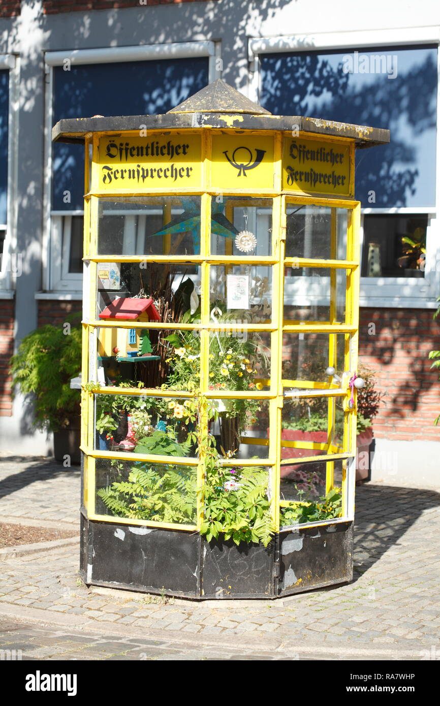 Old yellow telephone box as a greenhouse in Bremer Schnoorviertel, Bremen, Germany, Europe I Alte Gelbe Telefonzelle als Gewächshaus im Bremer Schnoor Stock Photo