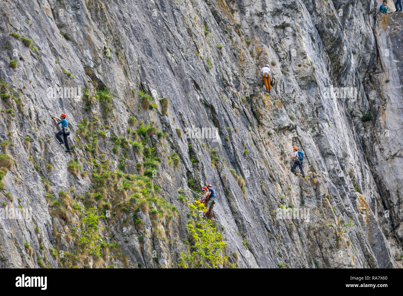 Climber in a mountain wall, above the river Maas, in Belgium, Wallonia, near Chenet, Stock Photo
