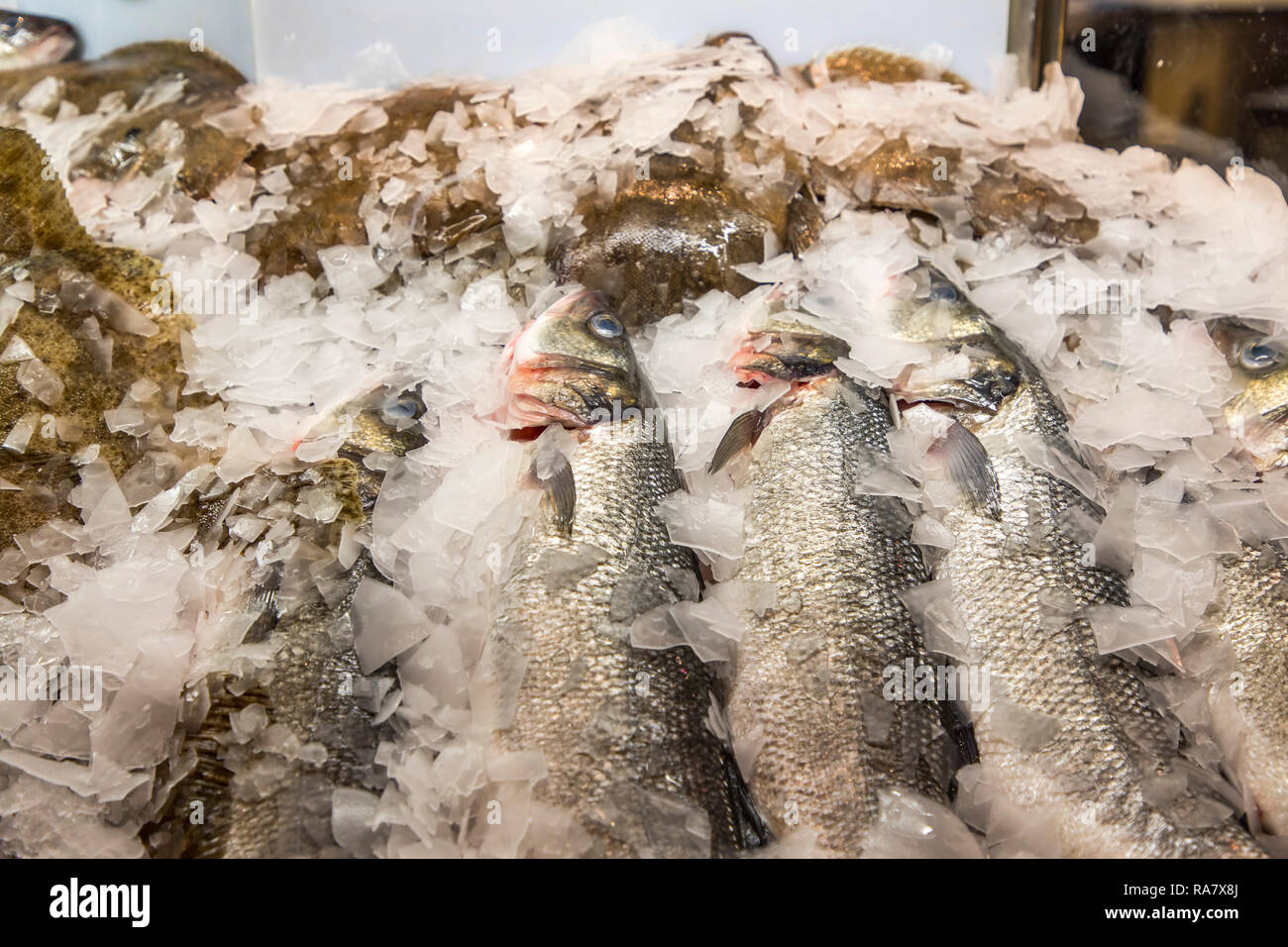 Fish, in the delivery of a restaurant, on ice Stock Photo Alamy