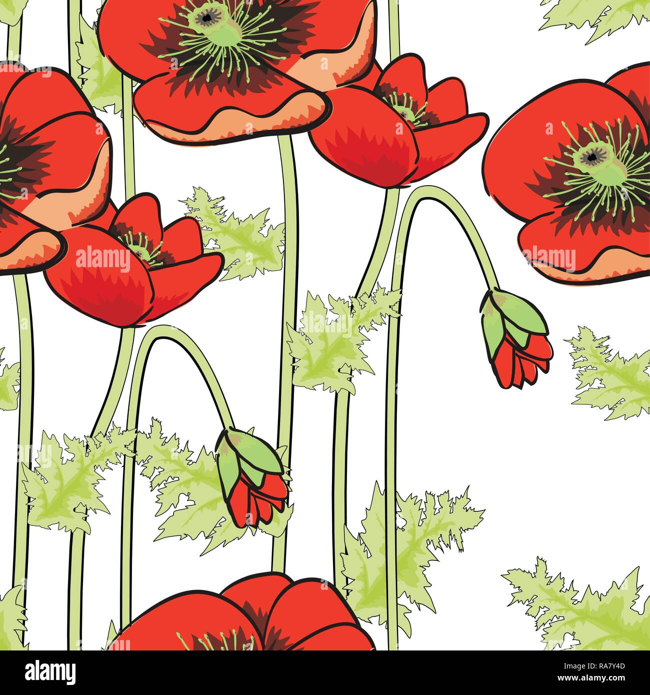 Vector beautiful poppies illustration. Easily editable vector image Stock Vector