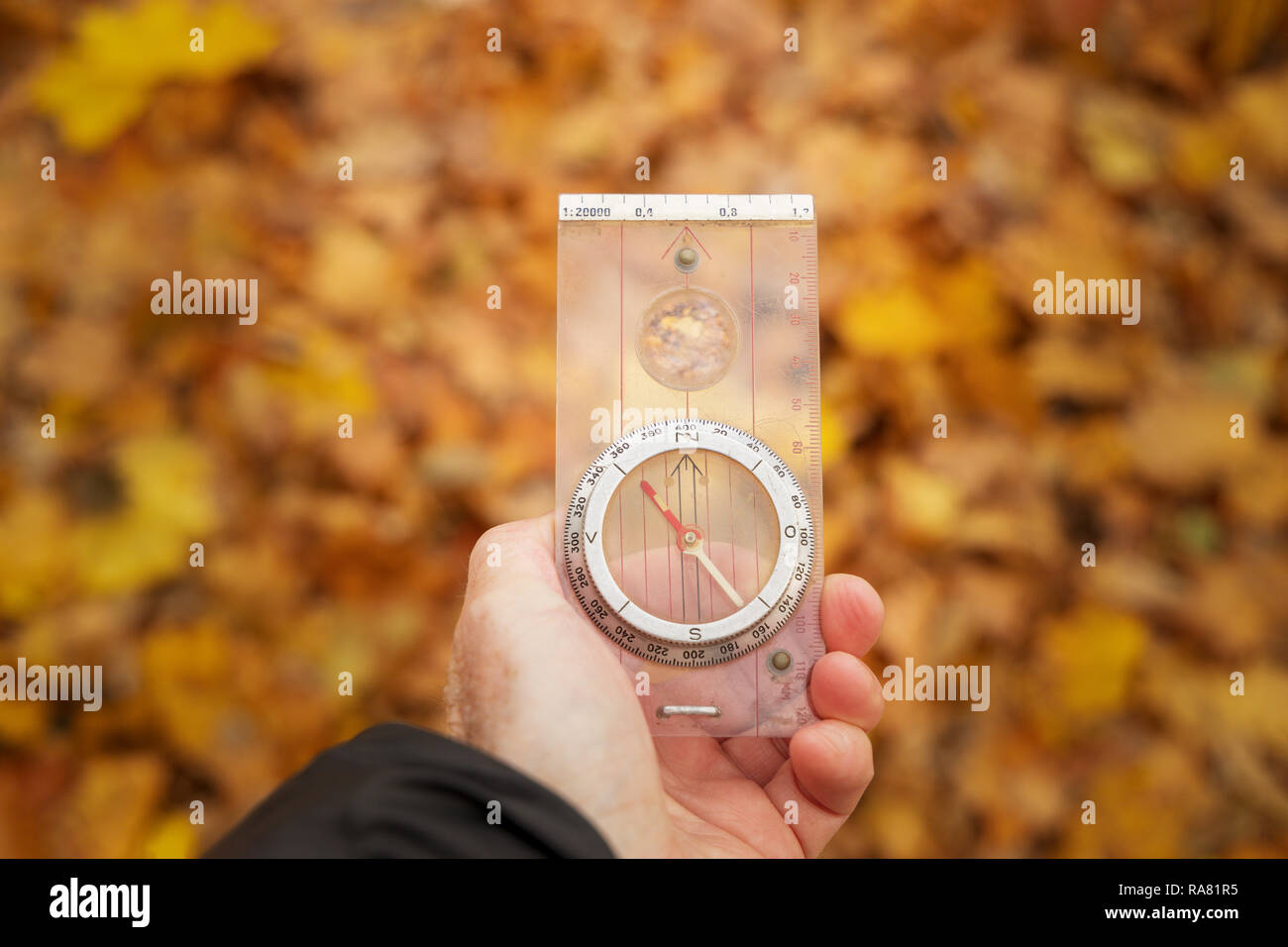 using compass to find the way Stock Photo Alamy