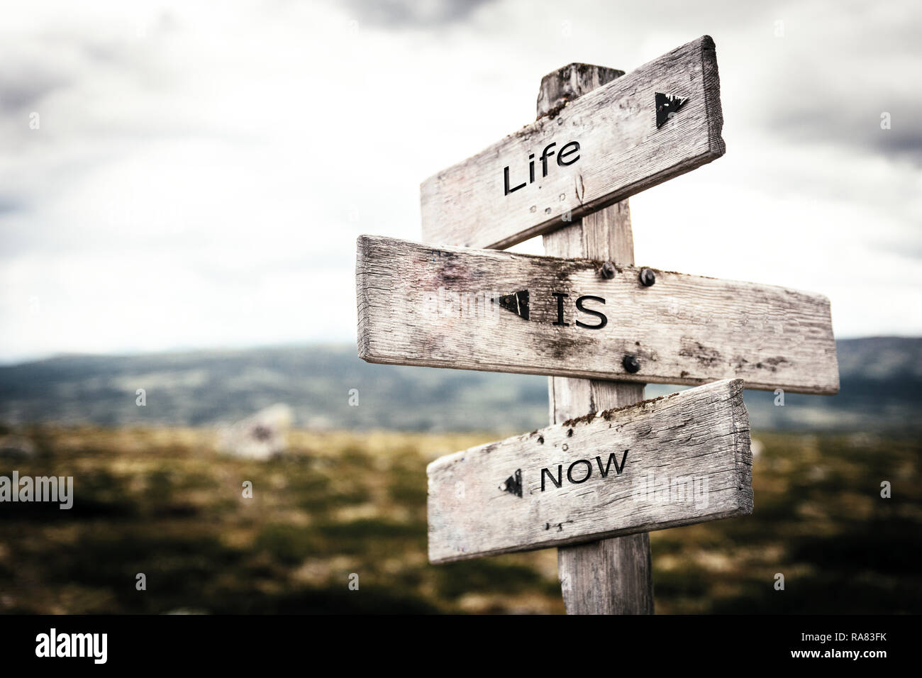 Follow your dreams text on wooden signpost outdoors in nature