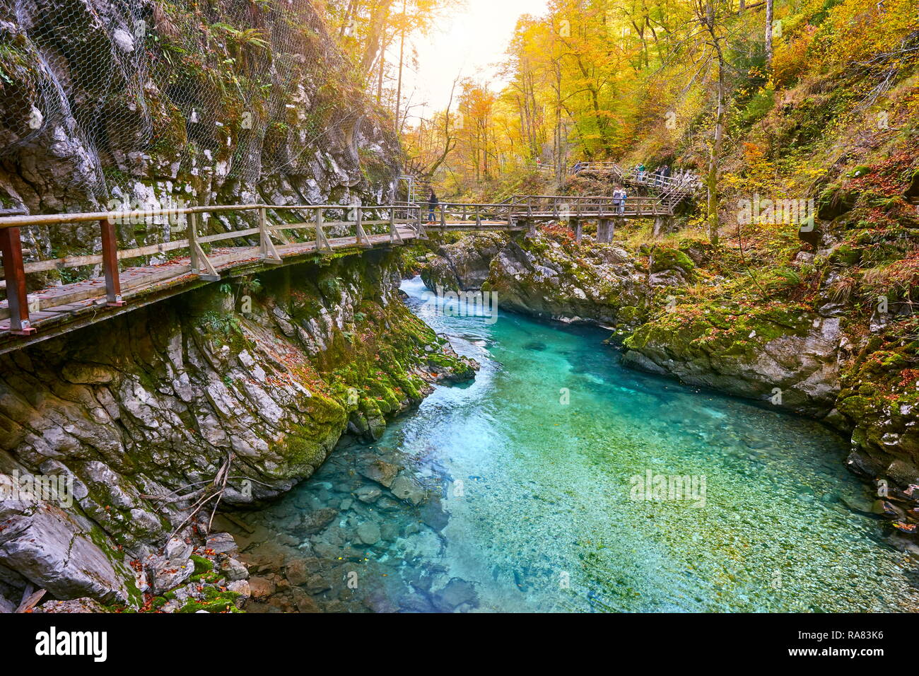 Vintgar Gorge Triglav National Park Julian Alps Slovenia Stock Photo vintgar-gorge-triglav-national-park-julian-alps-slovenia-stock-photo