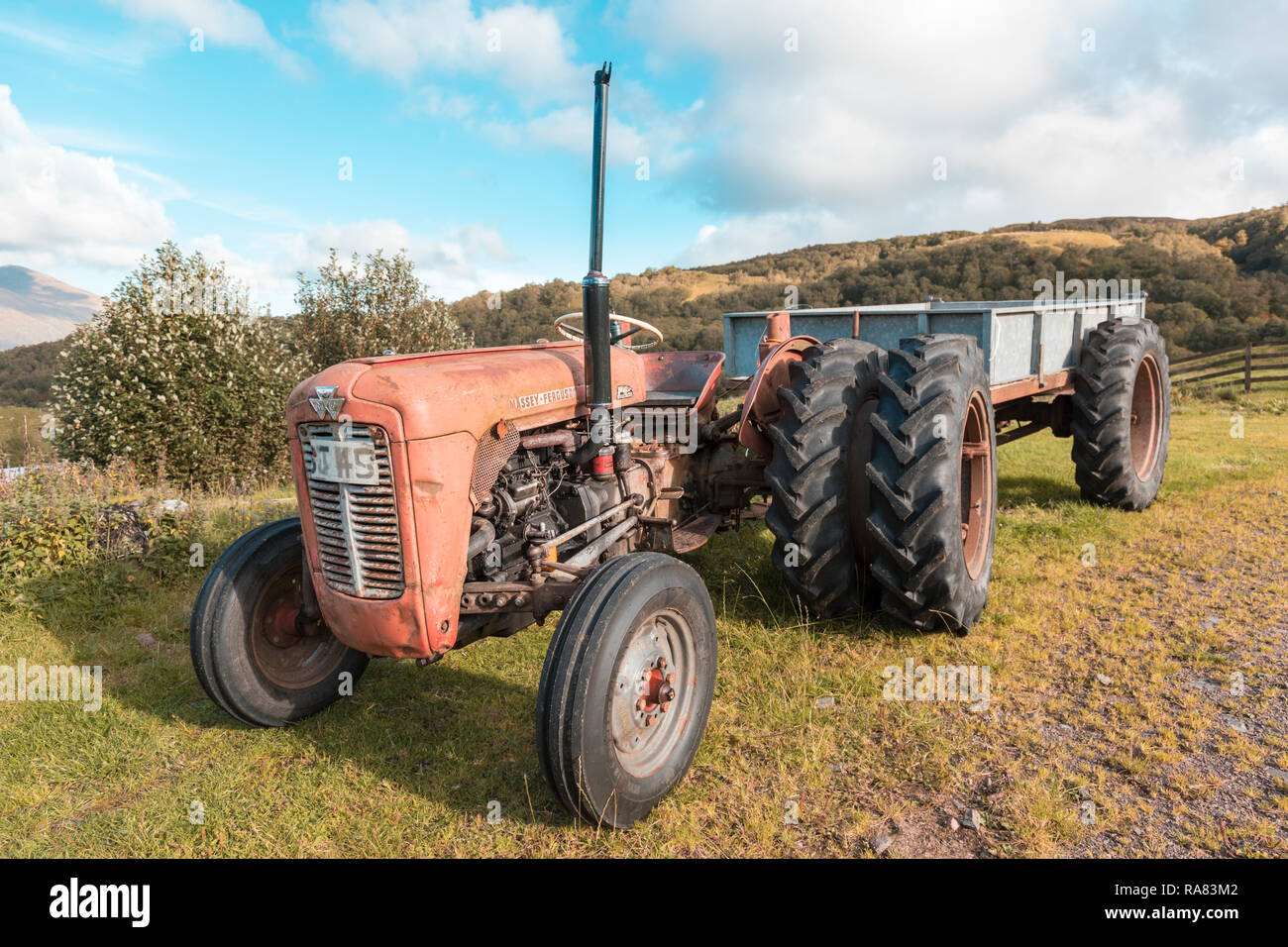 Massey Ferguson 35 tractor Stock Photo