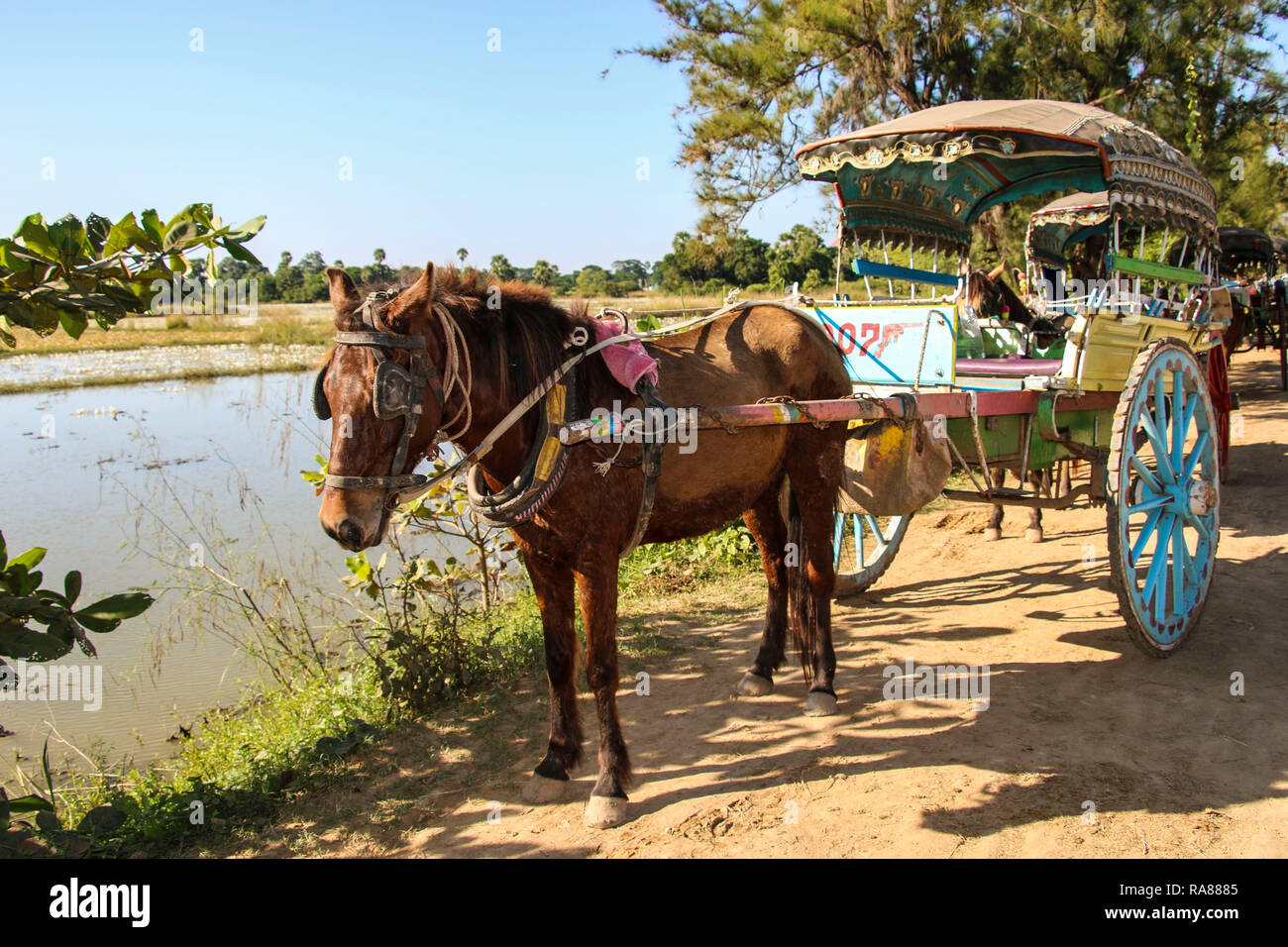 Horse carriage at the Bagan Archaeological Zone, Myanmar (Burma) Stock Photo
