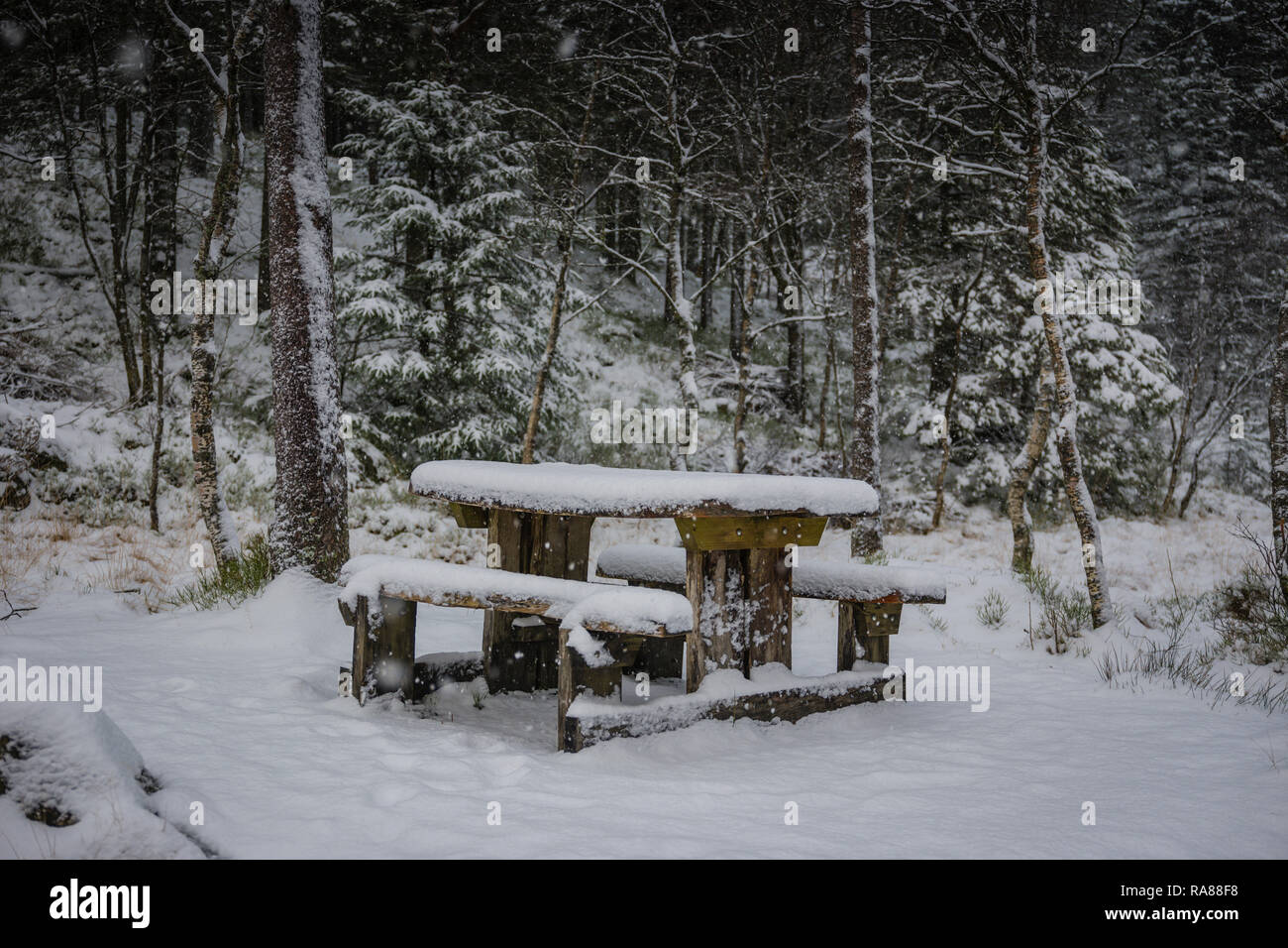 Picnic table, Mount Floyen, Bergen, Norway. Stock Photo