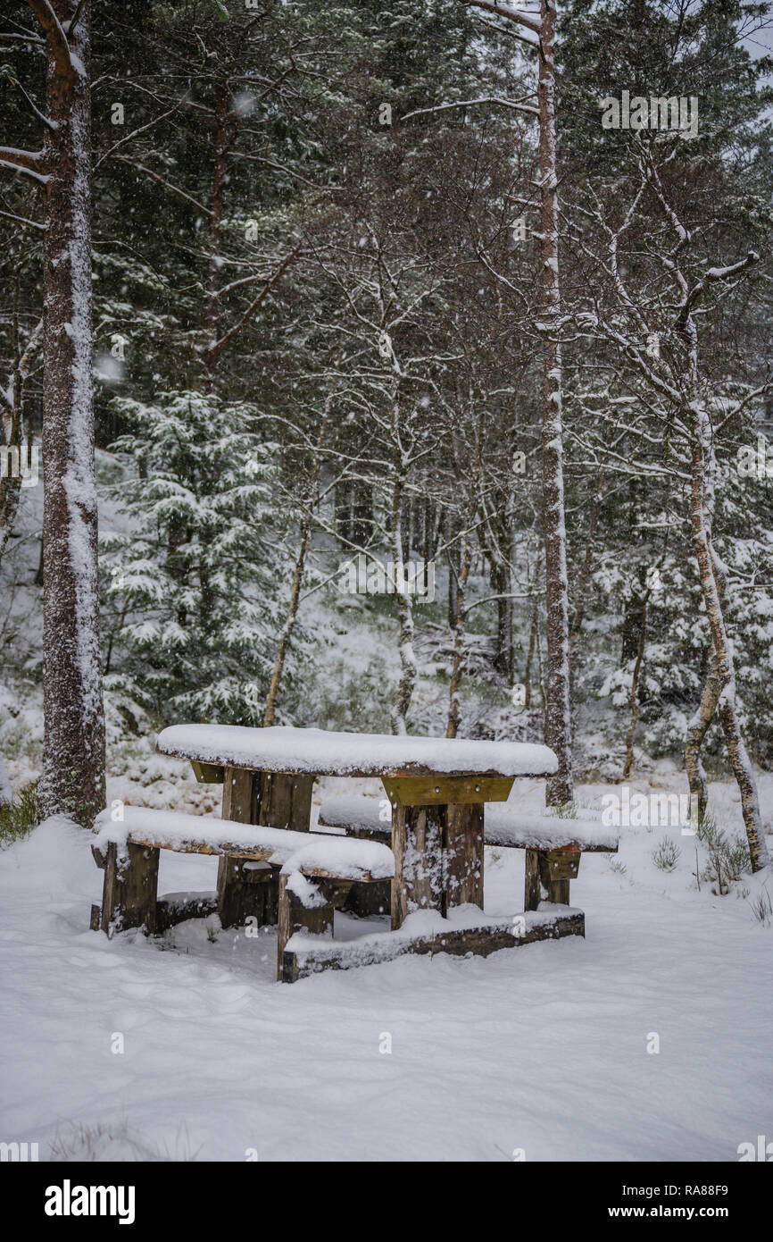 Picnic table, Mount Floyen, Bergen, Norway. Stock Photo