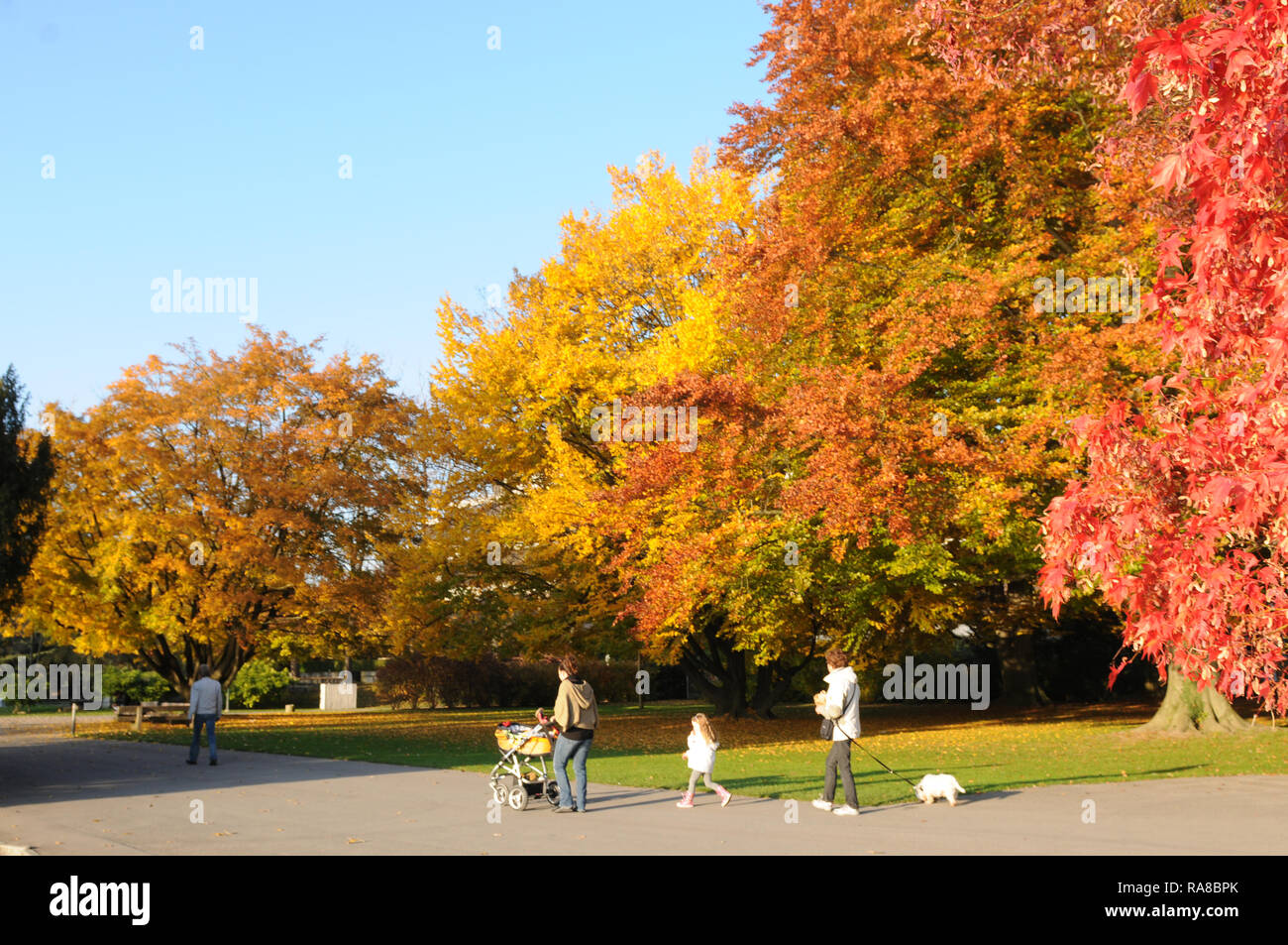 Switzerland: people enjoying autumn colors at Lake Zürich in Seefeld Stock Photo