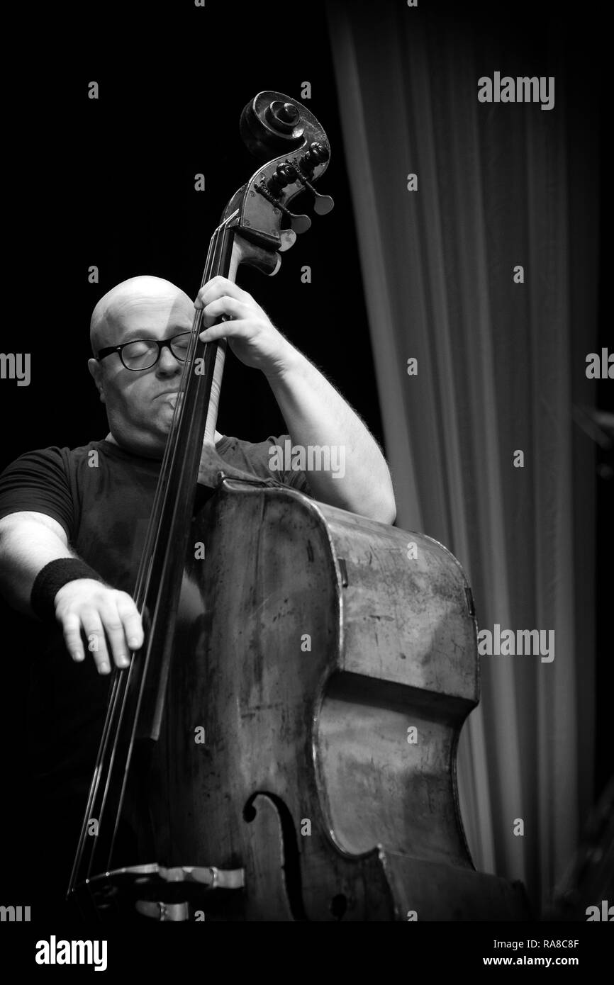 Yaron Stavi soloing on double bass with The Lowest Common Denominator, Scarborough Jazz Festival 2017 Stock Photo