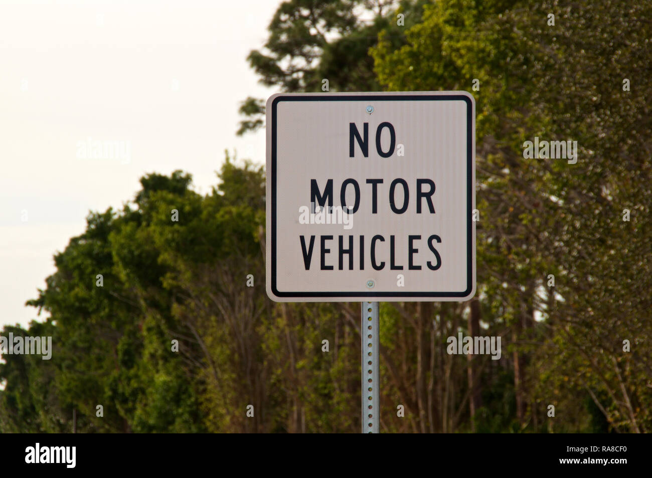 Close up of a no motor vehicles sign in front of trees. Stock Photo