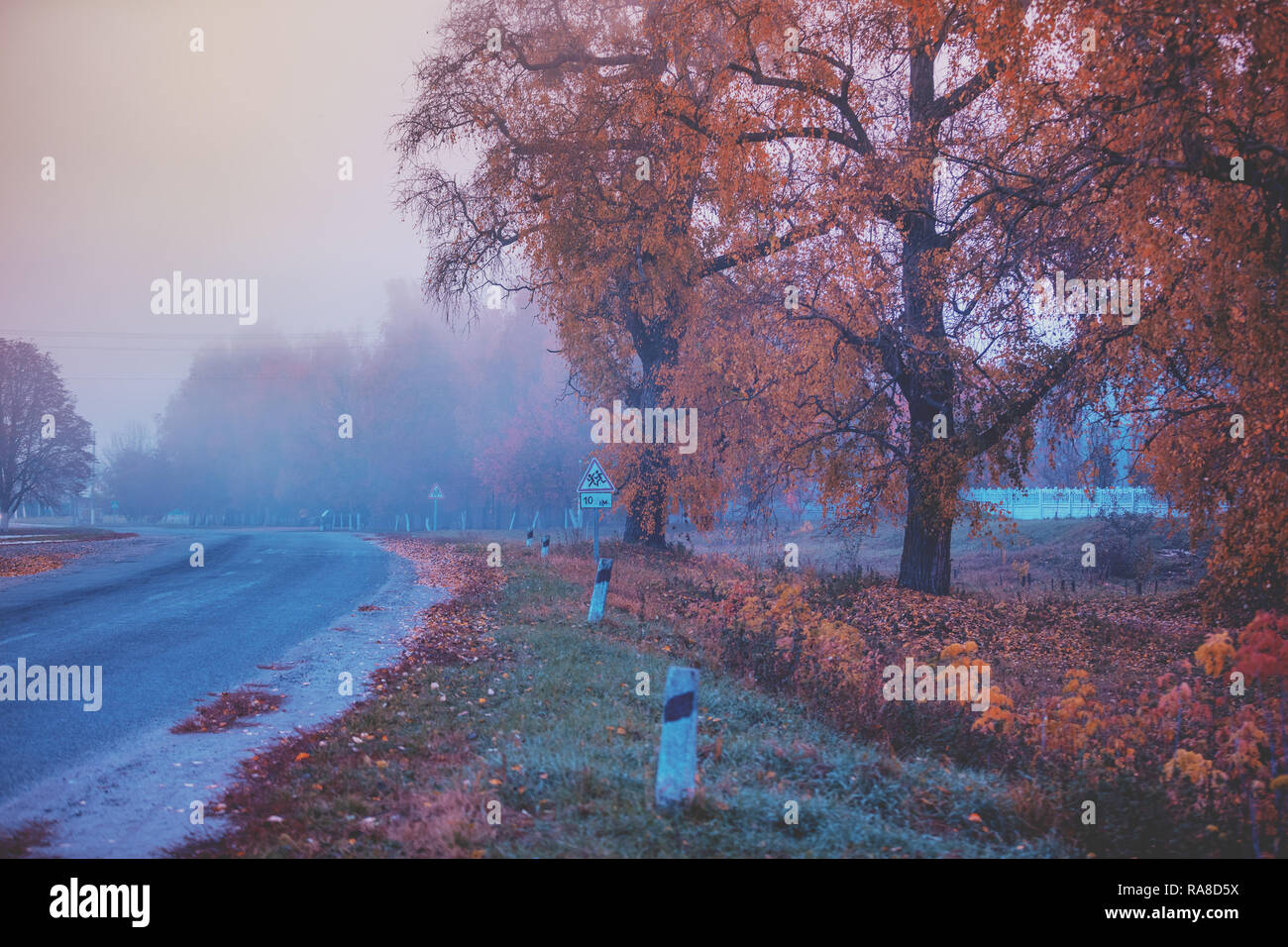 Country asphalt road in autumn in the early misty morning Stock Photo ...