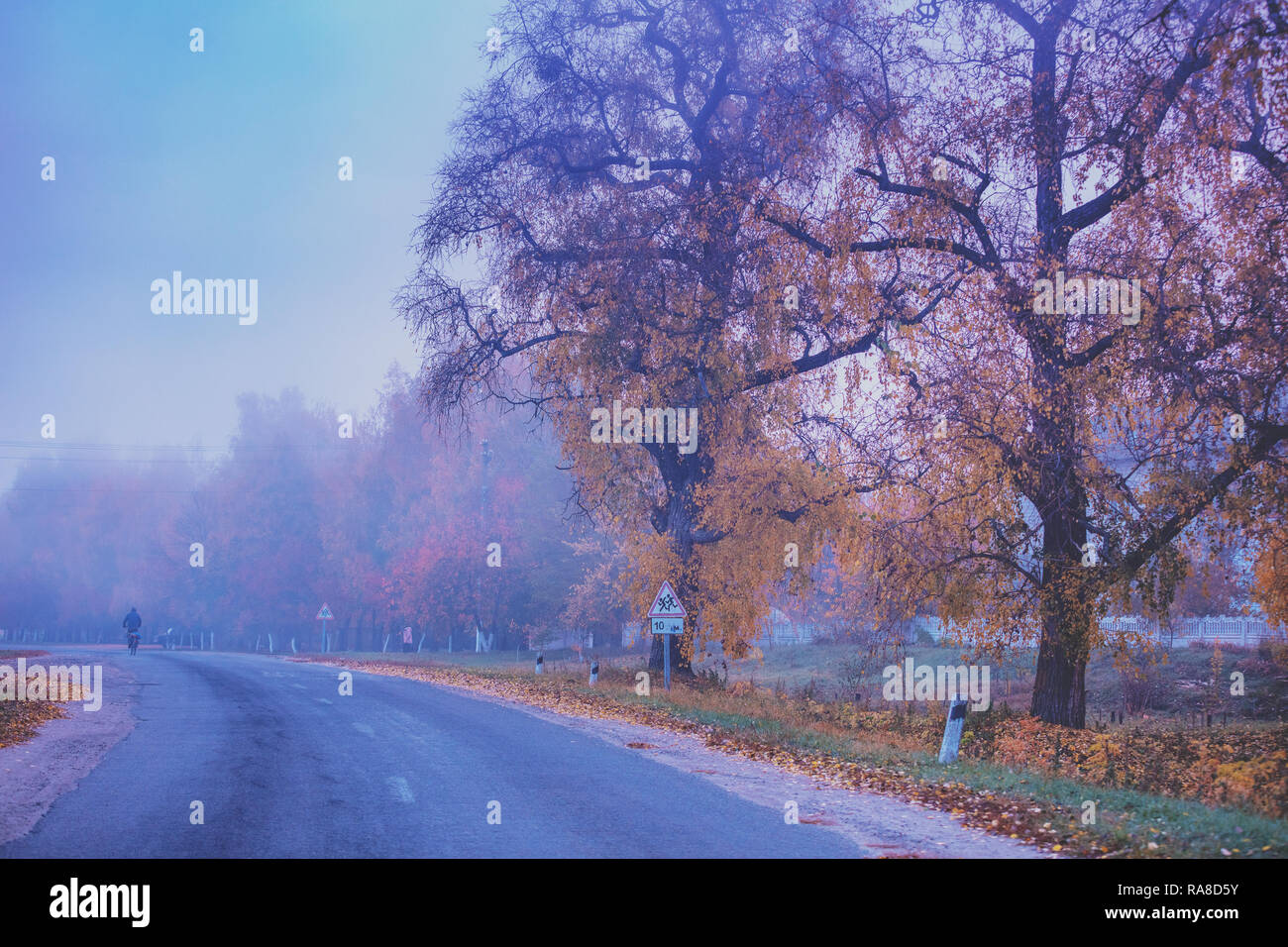 Country road in autumn in the early misty morning Stock Photo - Alamy