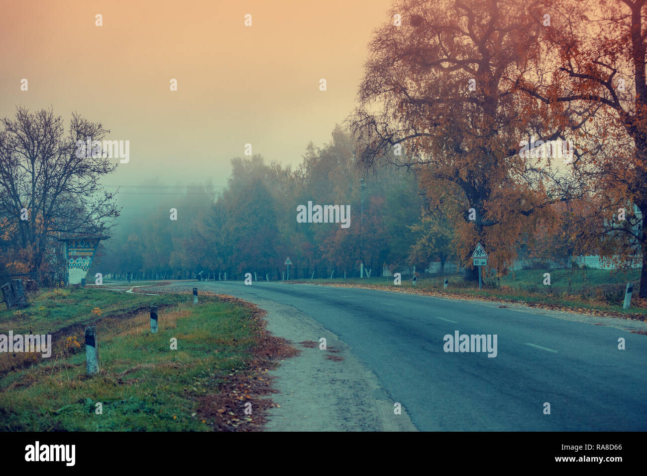 Country road in autumn in the early misty morning Stock Photo - Alamy