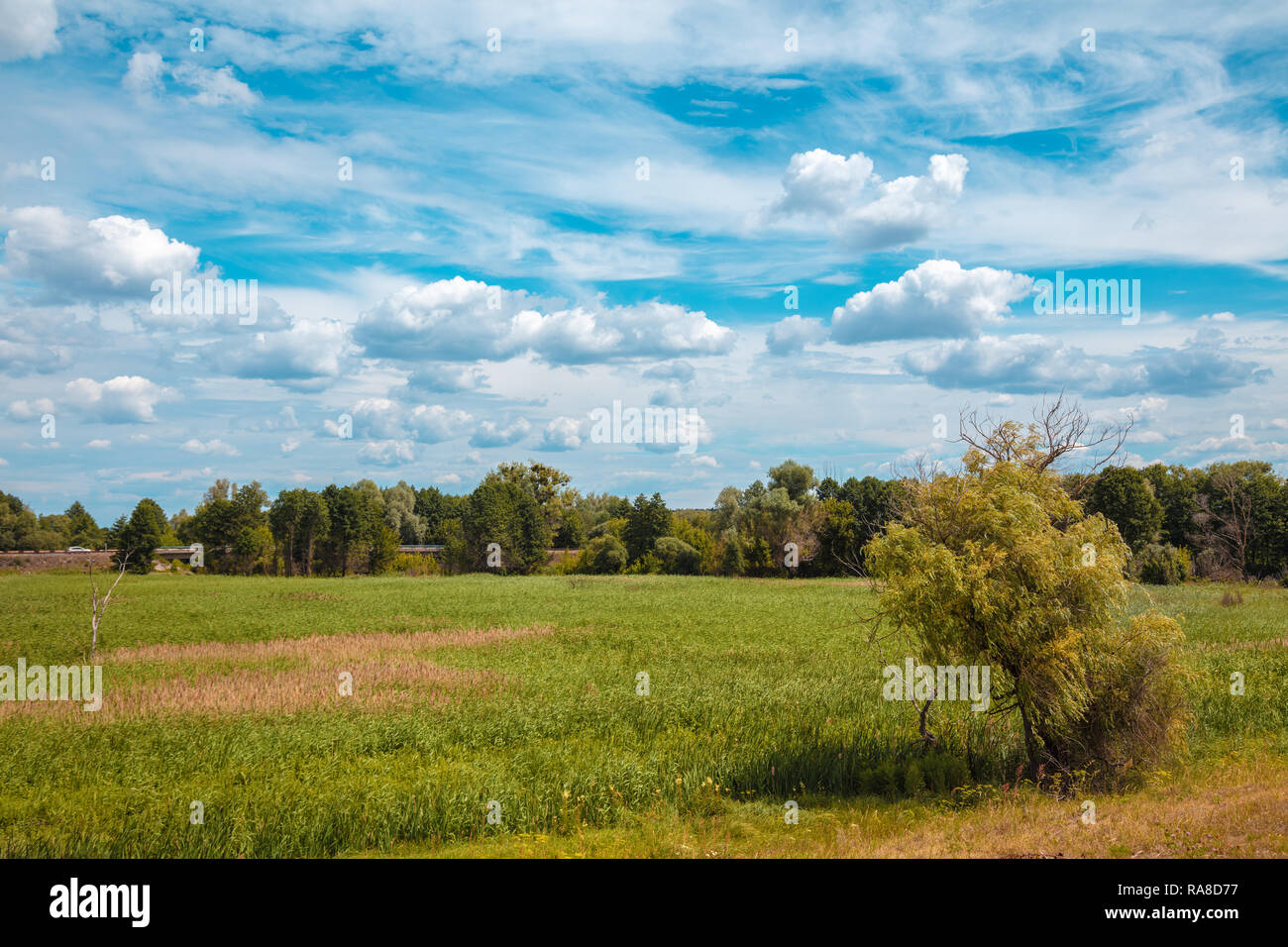 Rural landscape. Green field with beautiful cloudy sky Stock Photo - Alamy
