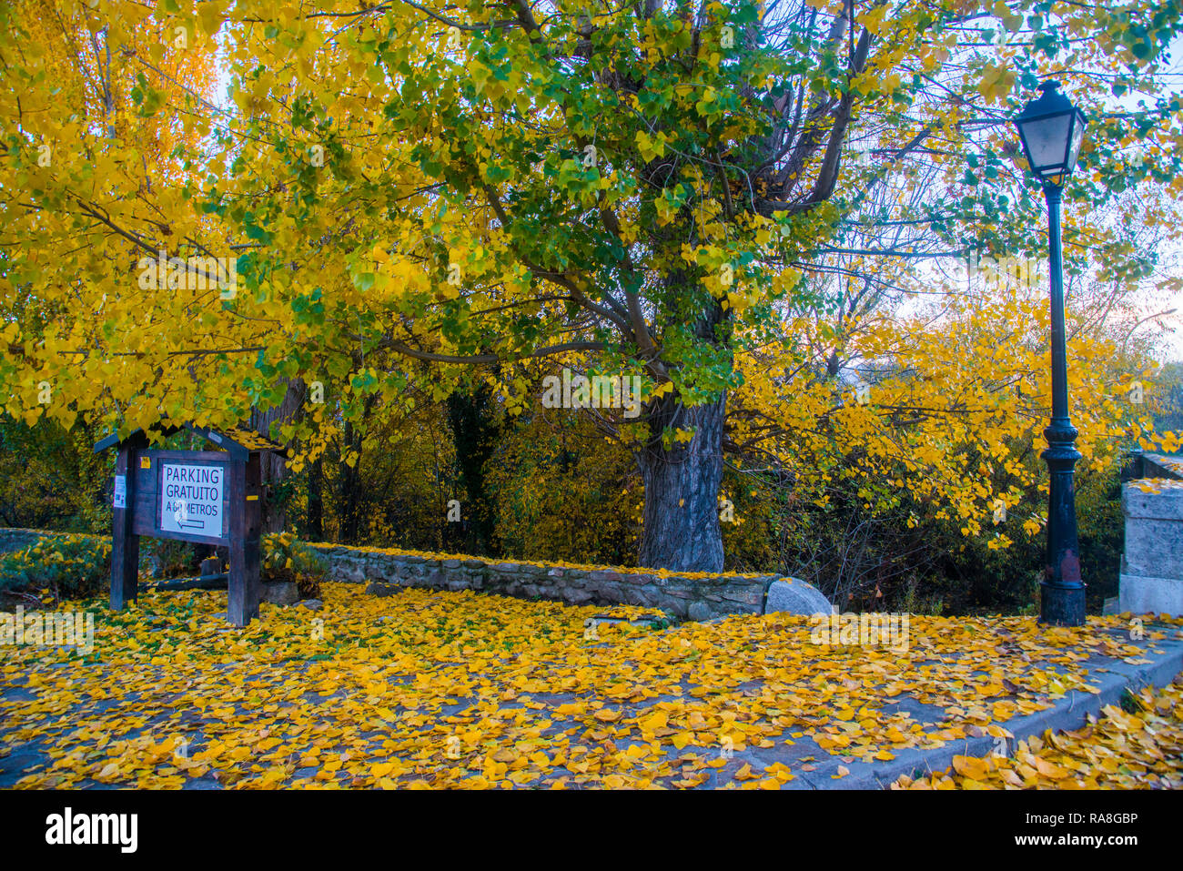 Autumnal landscape. Lozoya, Madrid province, Spain. Stock Photo