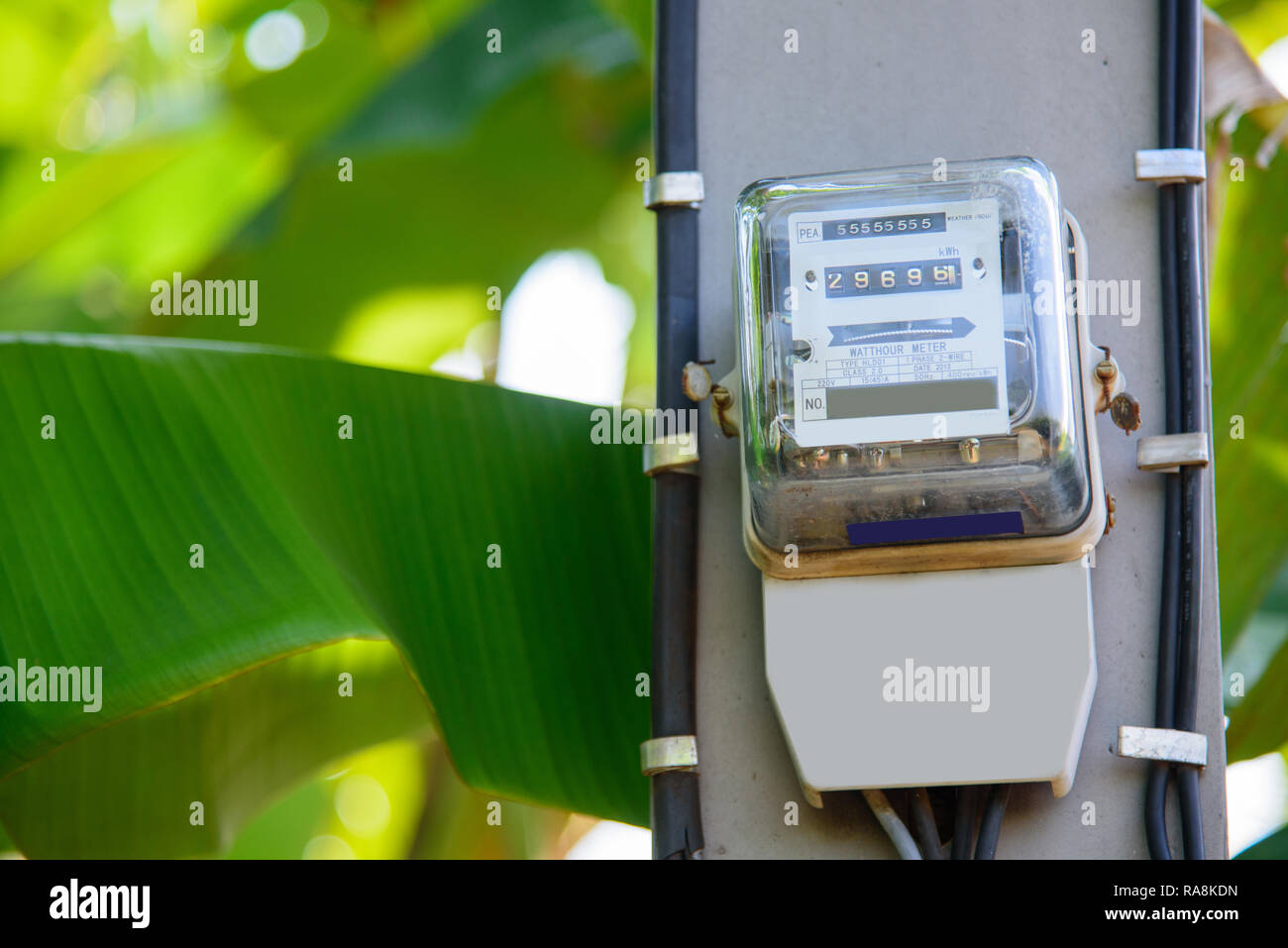Electricity meter on electric pole Stock Photo Alamy