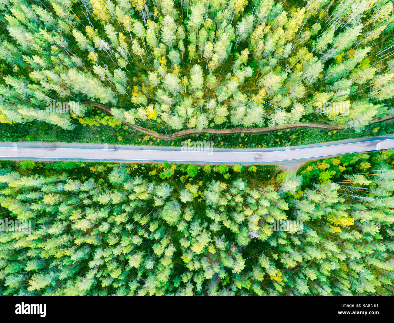 Aerial view of a country road in the forest. Beautiful landscape ...