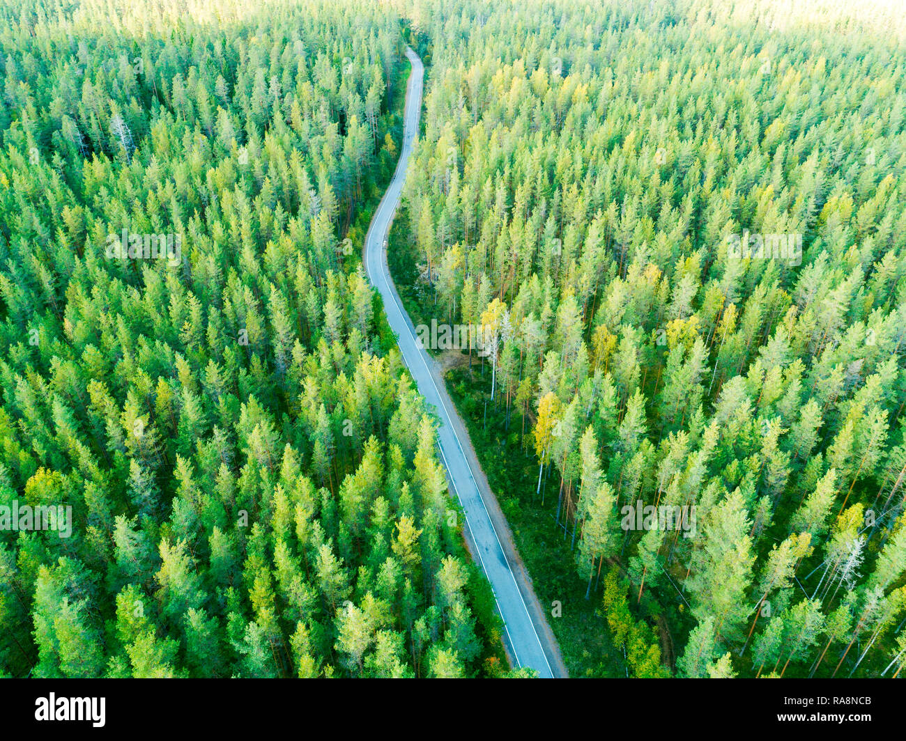Aerial view of a country road in the forest. Beautiful landscape ...