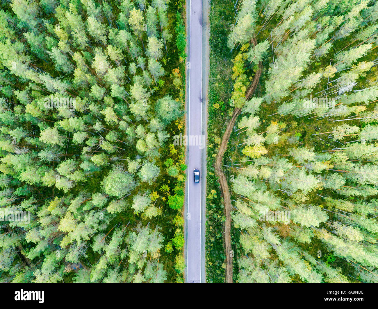 Aerial view of a country road in the forest with moving cars. Beautiful ...