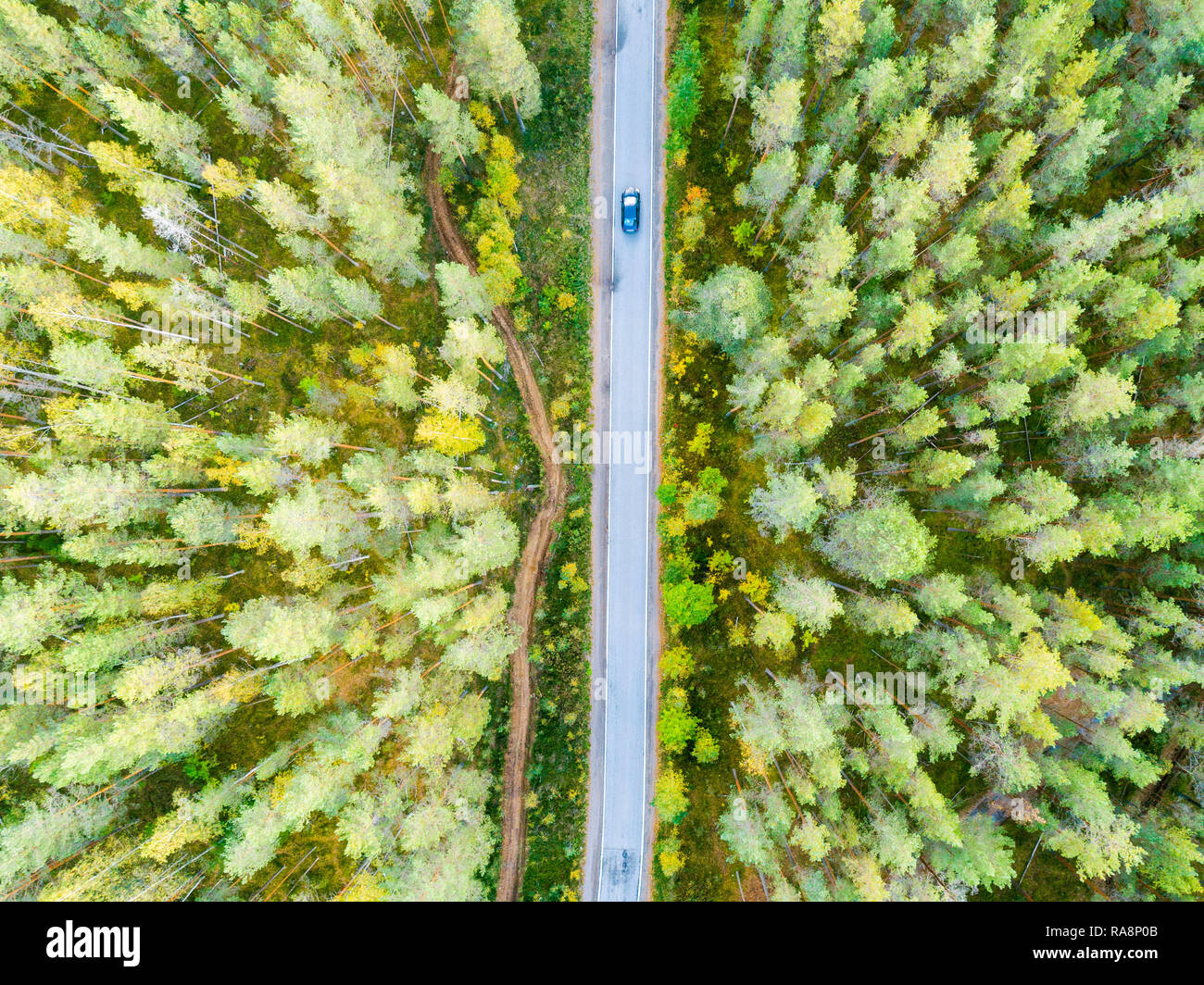 Aerial view of a country road in the forest with moving cars. Beautiful ...