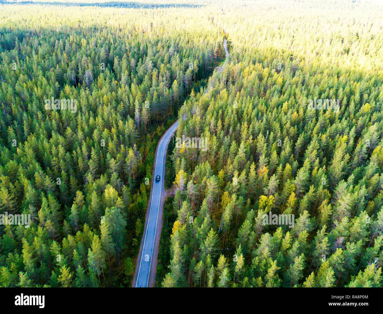 Aerial view of a country road in the forest with moving cars. Beautiful ...