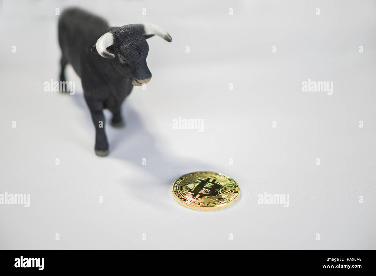 Bull market in crypto currency. Bull's shadow dropping on bitcoin coin Stock Photo