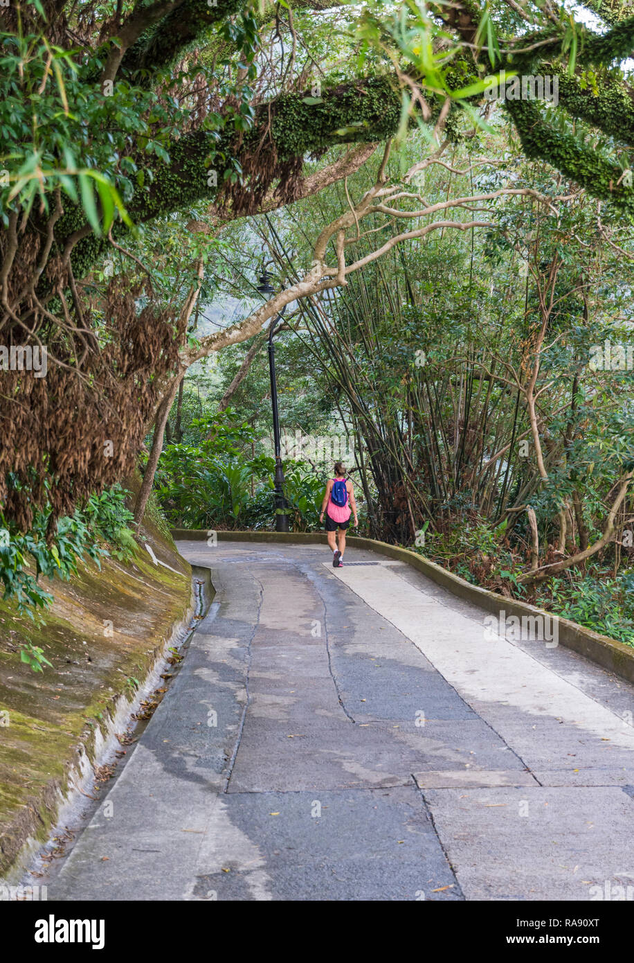 Old Peak Road, now a walking path between the Mid-Levels and Victoria Peak in Hong Kong Stock Photo