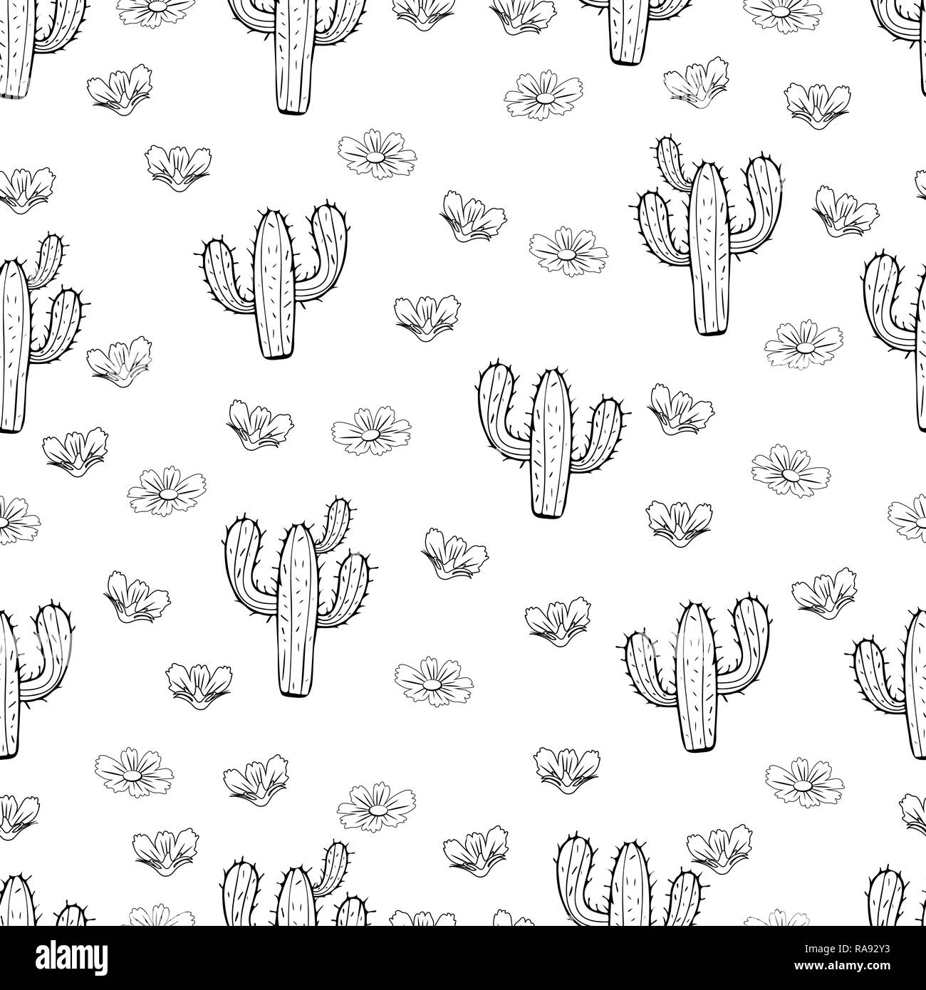 Cactus seamless pattern, outline linear hand drawing, silhouette sketch, black and white vector illustration. Painted peyote with spikes on white back Stock Vector