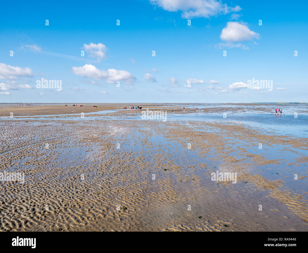 Group of people mud flat hiking on Wadden Sea at low tide from Friesland to West Frisian island Ameland, Netherlands Stock Photo