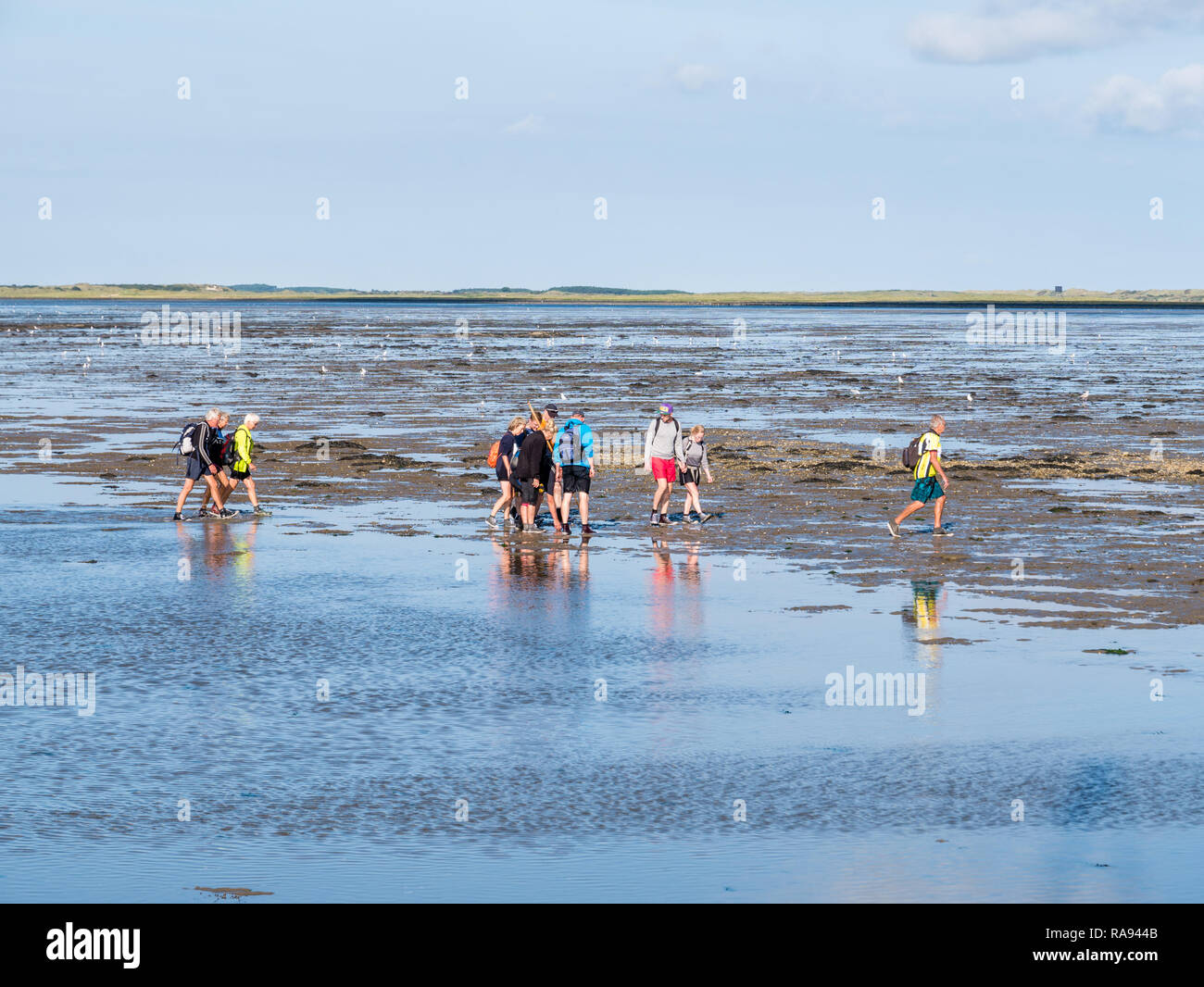 Group of people mud flat hiking on Wadden Sea at low tide from Friesland to West Frisian island Ameland, Netherlands Stock Photo