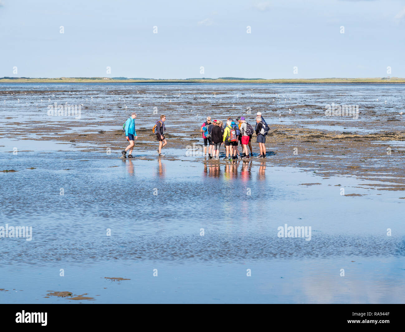 Group of people mud flat hiking on Wadden Sea at low tide from Friesland to West Frisian island Ameland, Netherlands Stock Photo