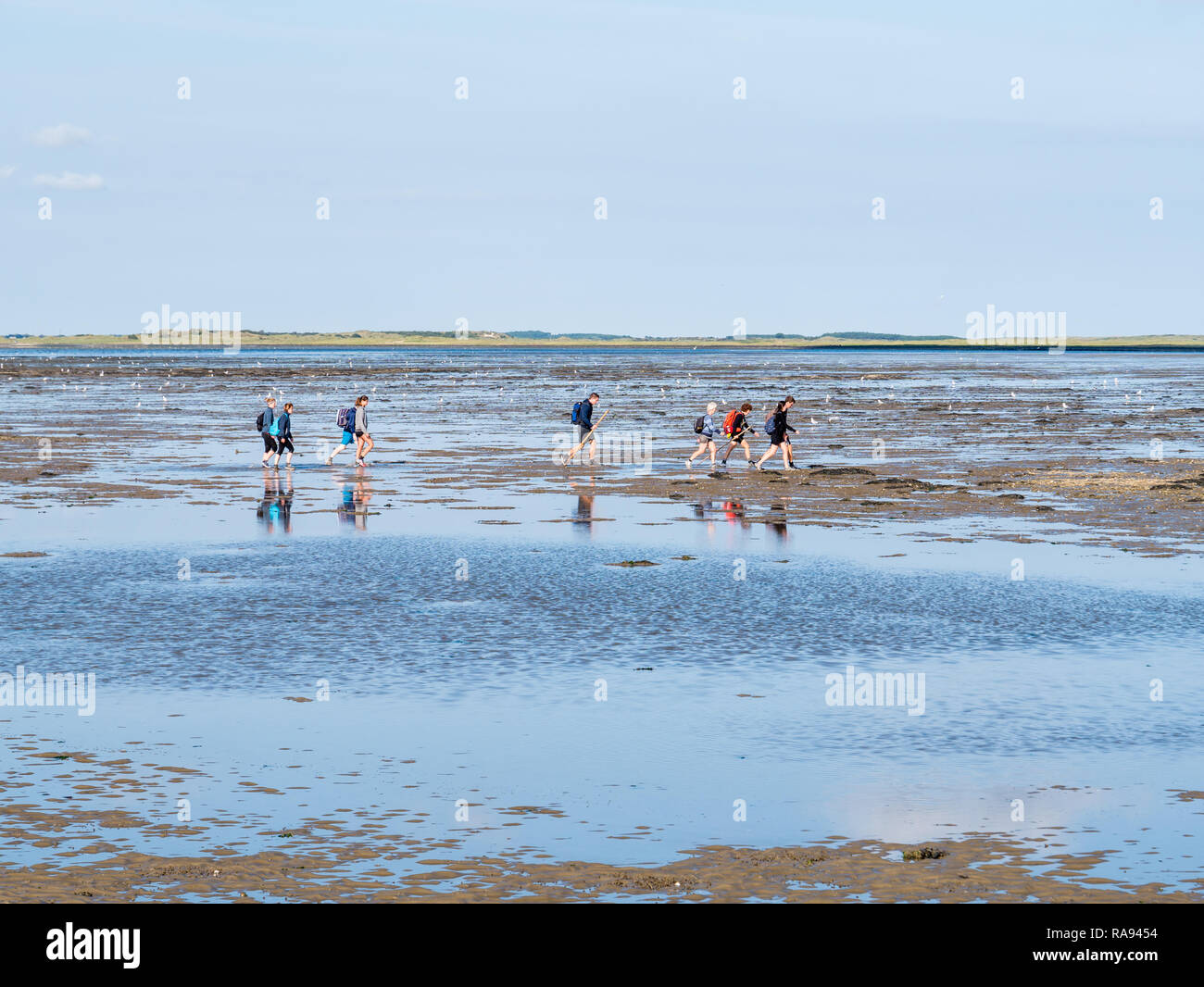 Group of people mud flat hiking on Wadden Sea at low tide from Friesland to West Frisian island Ameland, Netherlands Stock Photo
