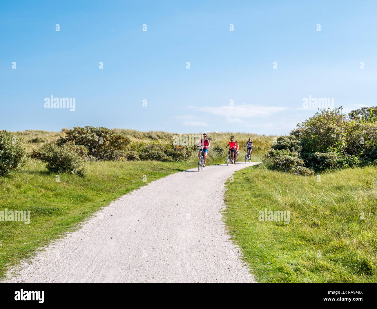 People riding bicycles on bicycle path in dunes of nature reserve Het Oerd on West Frisian island Ameland, Friesland, Netherlands Stock Photo