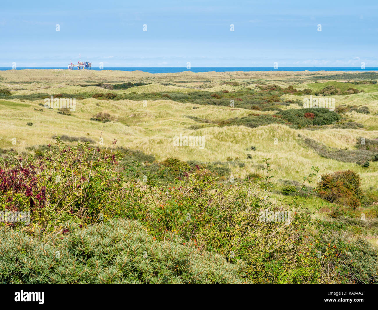 Panorama of dunes of nature reserve Het Oerd and offshore platform in North Sea off coast of West Frisian island Ameland, Friesland, Netherlands Stock Photo