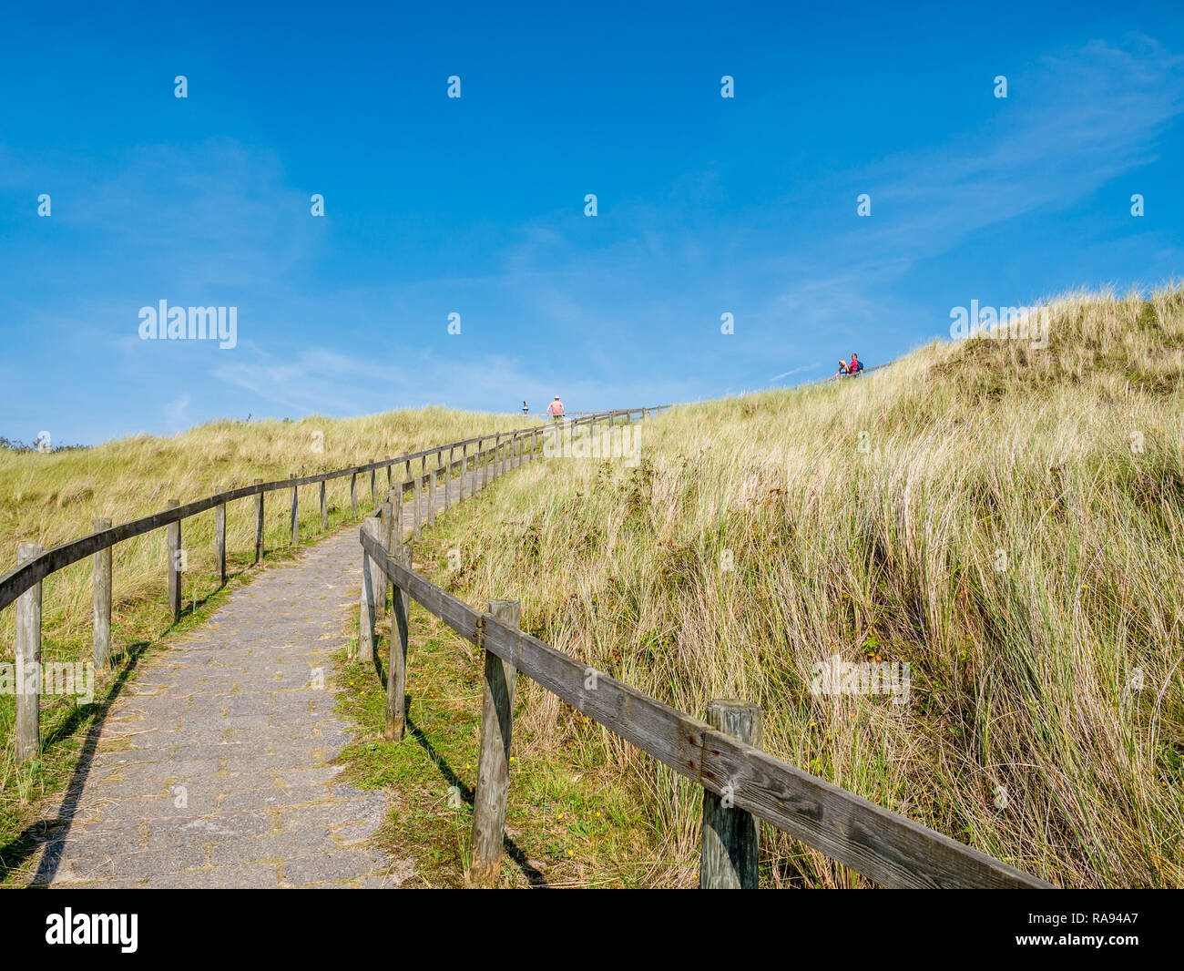 Footpath between wooden fences leading up to viewpoint dune with people in nature reserve Het Oerd on West Frisian island Ameland, Friesland, Netherla Stock Photo