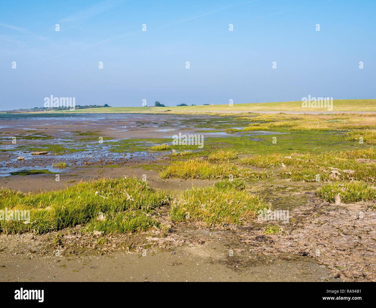 Dike and coastline of West Frisian island Schiermonnikoog from marshland and mud flats of Wadden Sea at low tide, Netherlands Stock Photo