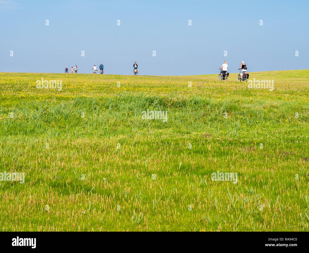 Group of bicyclists riding bikes on dike with grass field on a sunny day with blue sky, Schiermonnikoog, Netherlands Stock Photo
